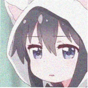 国漫支持者